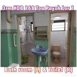 Blk 168 Lorong 1 Toa Payoh (Toa Payoh), HDB 3 Rooms #220139941